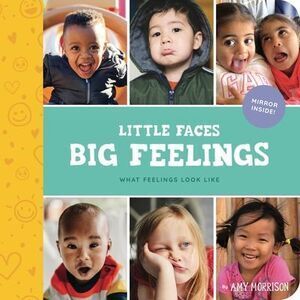 Little Faces Big Feelings: What Emotions Look Like -- Amy Morrison